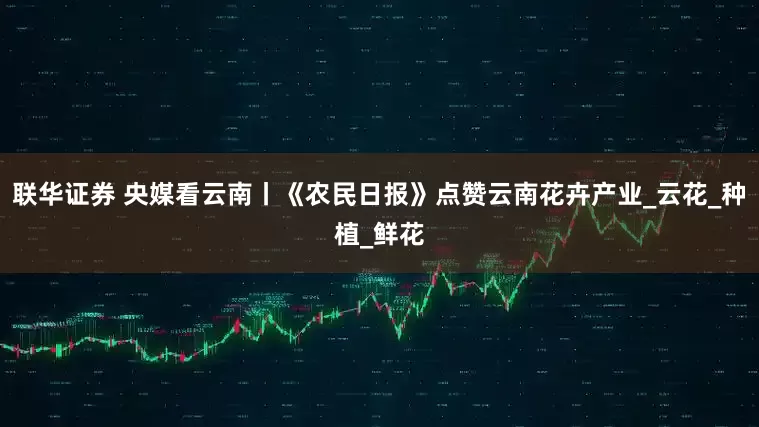 联华证券 央媒看云南丨《农民日报》点赞云南花卉产业_云花_种植_鲜花