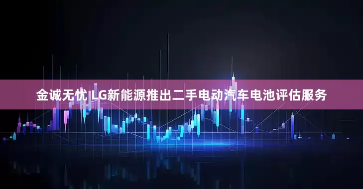 金诚无忧 LG新能源推出二手电动汽车电池评估服务