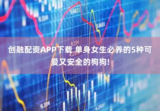 创融配资APP下载 单身女生必养的5种可爱又安全的狗狗!
