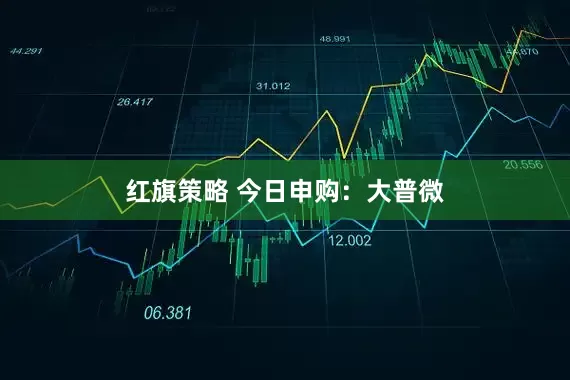 红旗策略 今日申购：大普微